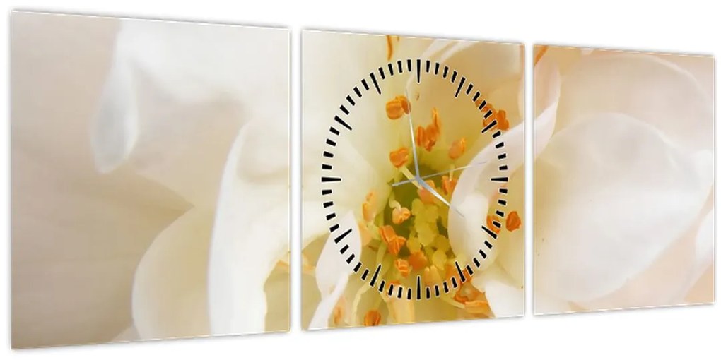 Obraz - Kvet (s hodinami) (90x30 cm)