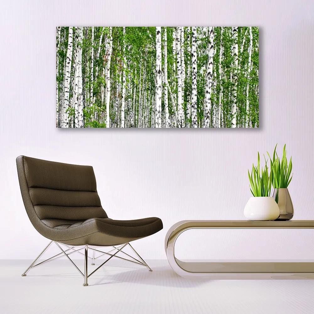 Obraz na akrylátovom skle Breza les stromy príroda 120x60 cm