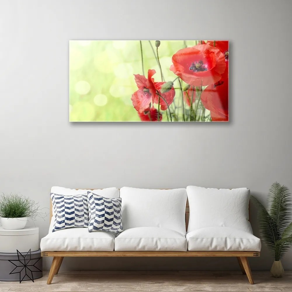 Skleneny obraz Maky kvety príroda 100x50 cm