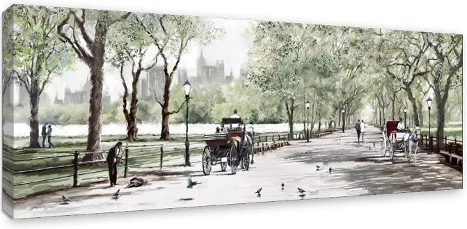 Styler Obraz na plátne - Central Park 2 | Rozmery: 60x150 cm