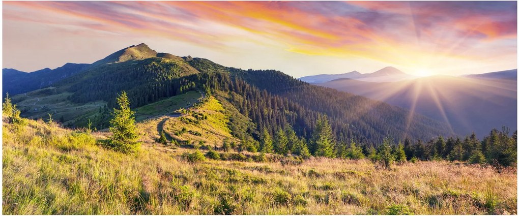 Obraz - Lesná krajina (120x50 cm)