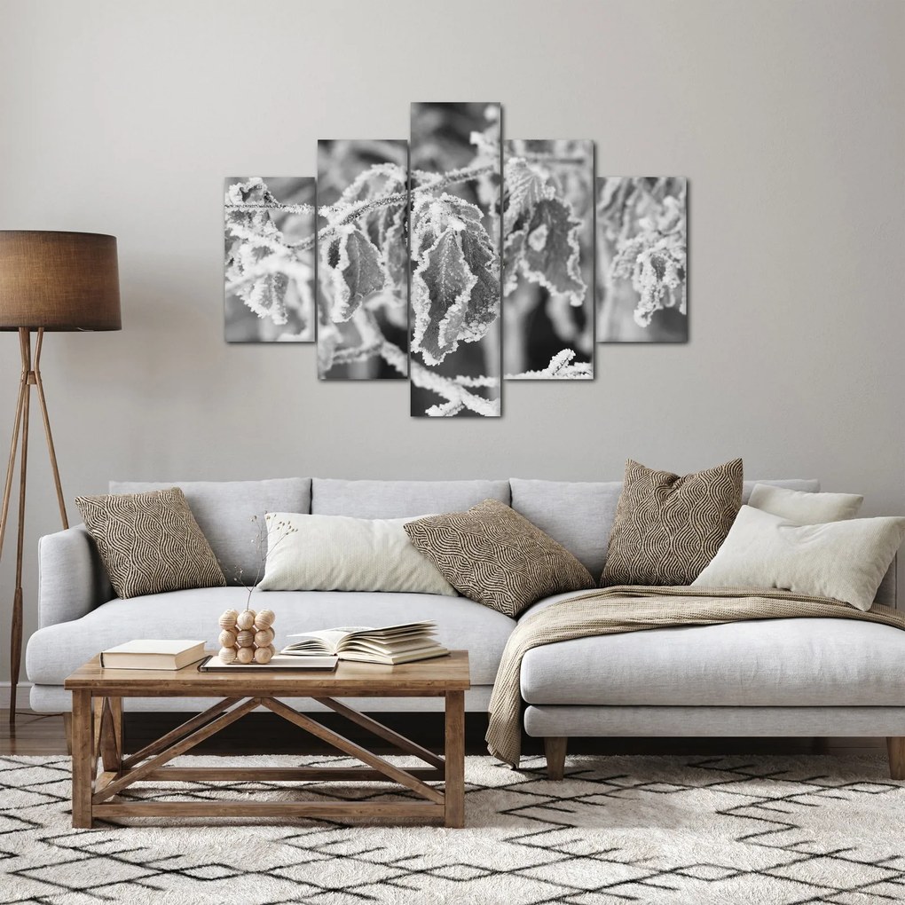 Obraz - Zmrznuté listy, čiernobiela (150x105 cm)