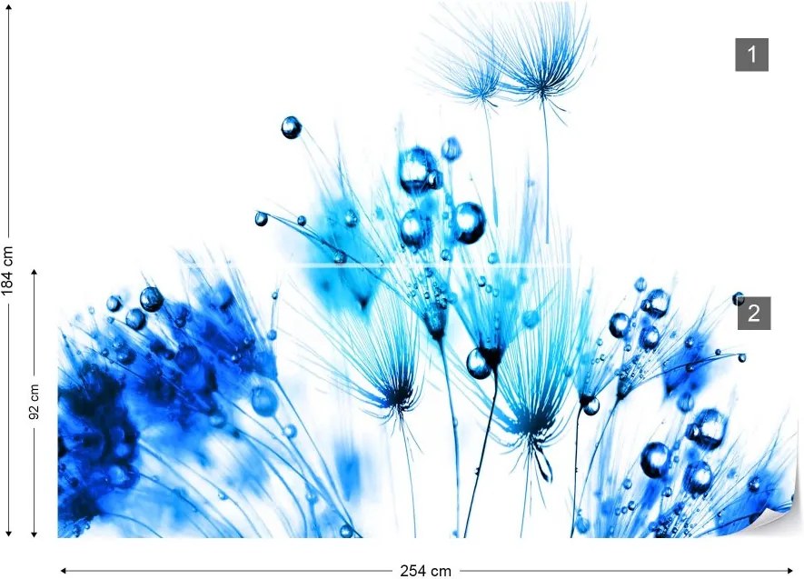 GLIX Fototapeta - Modern Dandelion Blue And White Vliesová tapeta  - 254x184 cm
