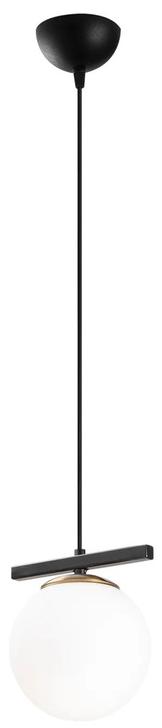 Üzüm - 6261