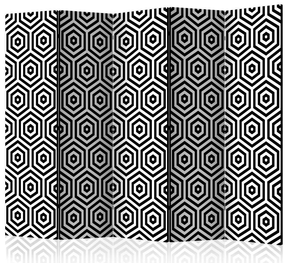 Artgeist Paraván - Black and White Hypnosis [Room Dividers]