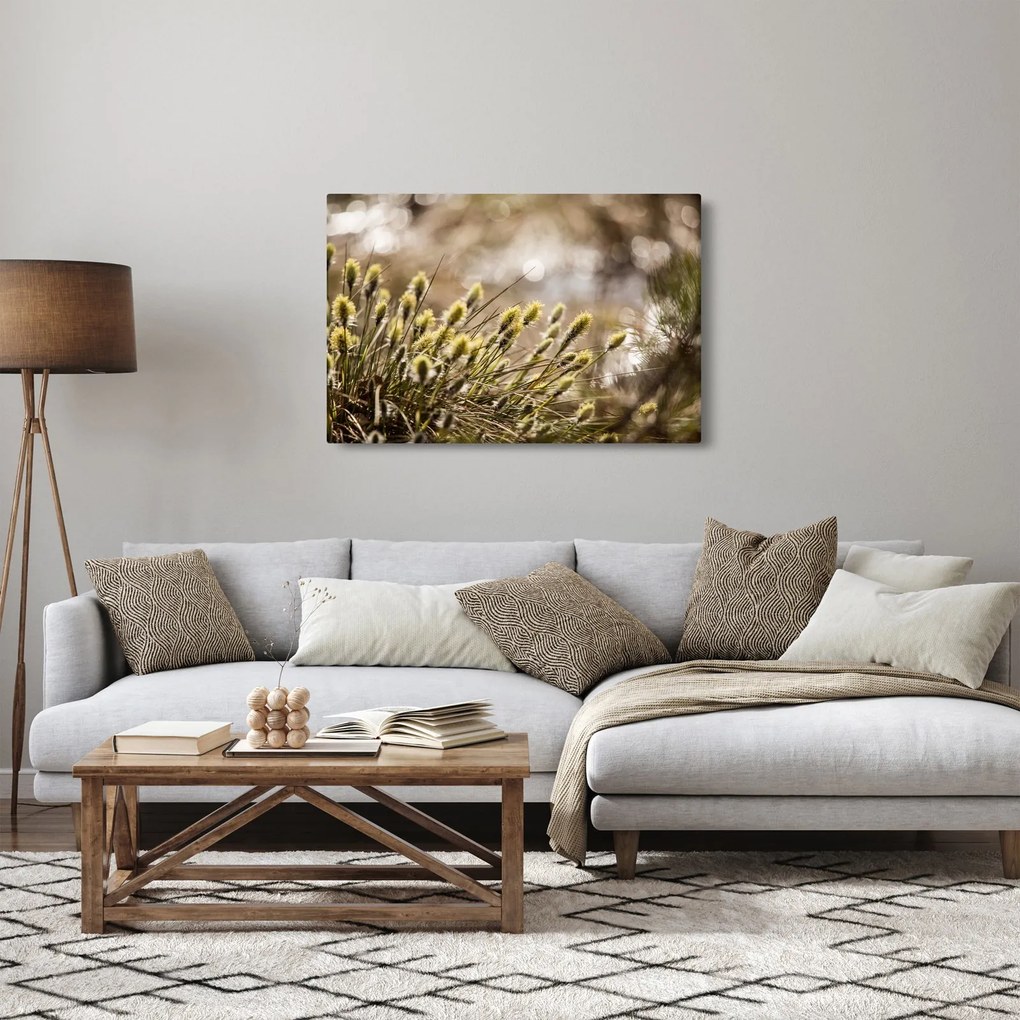 Obraz - Zeleň (90x60 cm)
