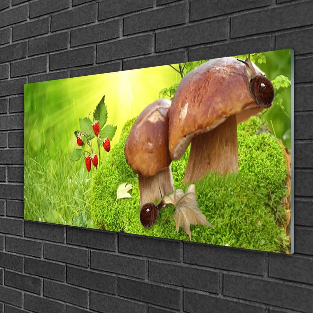 Obraz na skle Huby divoké jahody 100x50 cm