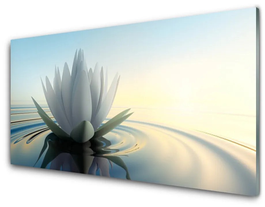 Skleneny obraz Vodné lilie rybník príroda 125x50 cm