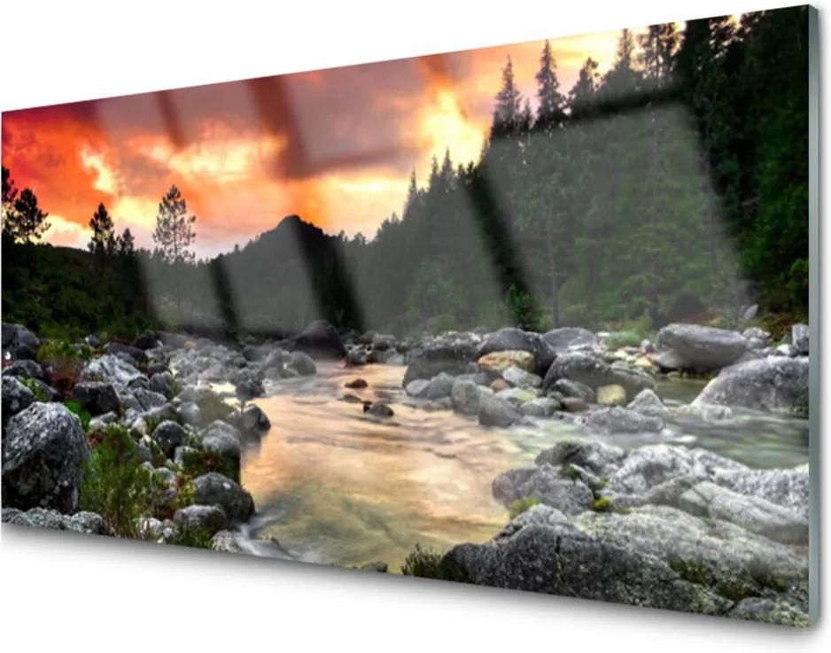 Obraz plexi Jazero kamene les príroda