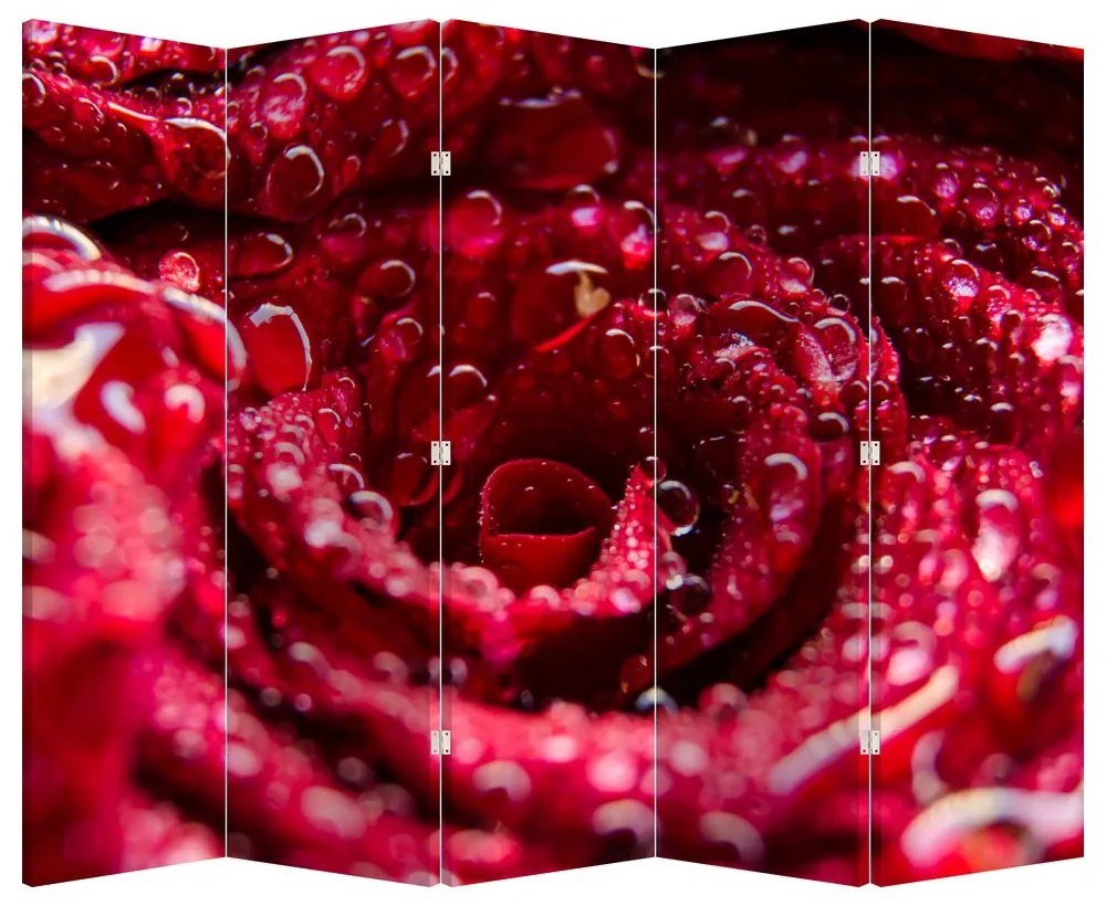 Paraván - Kvet červené ruže (225 x 180 cm)