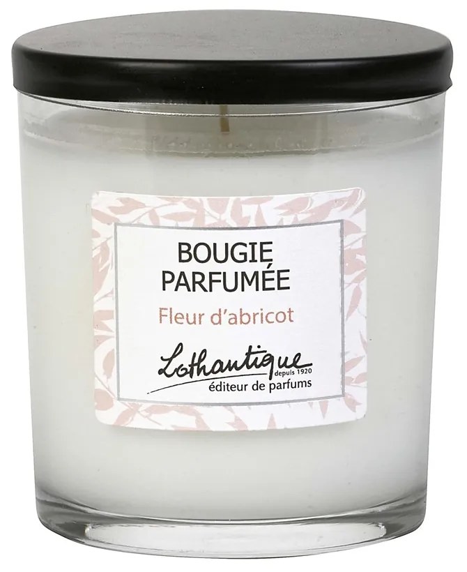 Lothantique Vonná sviečka 160 g Apricot blossom - L`editeur de parfums