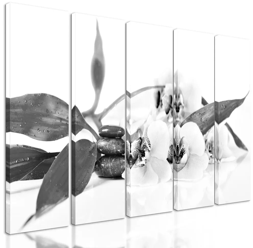 5-dielny obraz ukľudňujúce Zen zátišie s kvetmi orchidey v čiernobielom prevedení