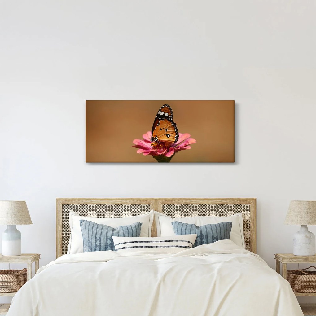 Obraz motýľa na kvetine (120x50 cm)
