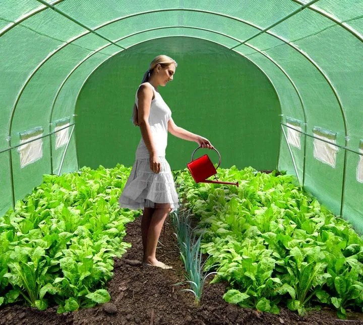 Bluegarden, Fólia pre záhradný tunel 350x200cm 10m2, zelená, OGR-03501