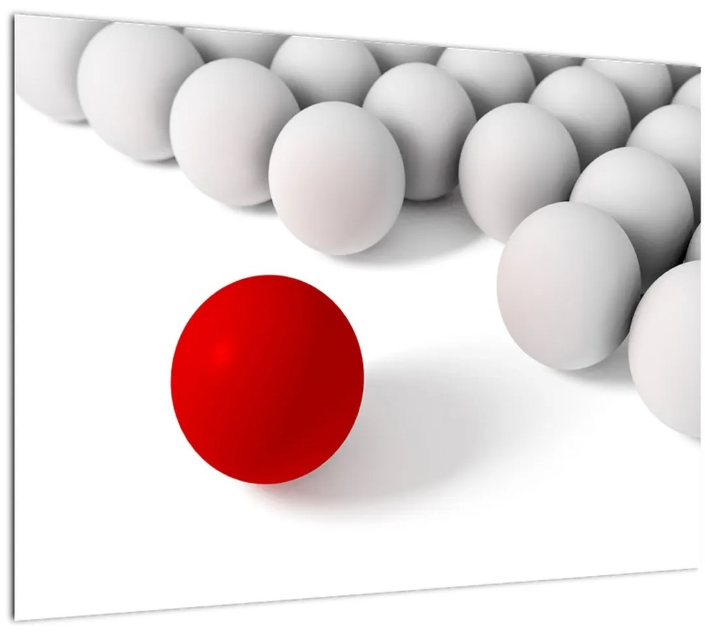 Sklenený obraz gulí (70x50 cm)