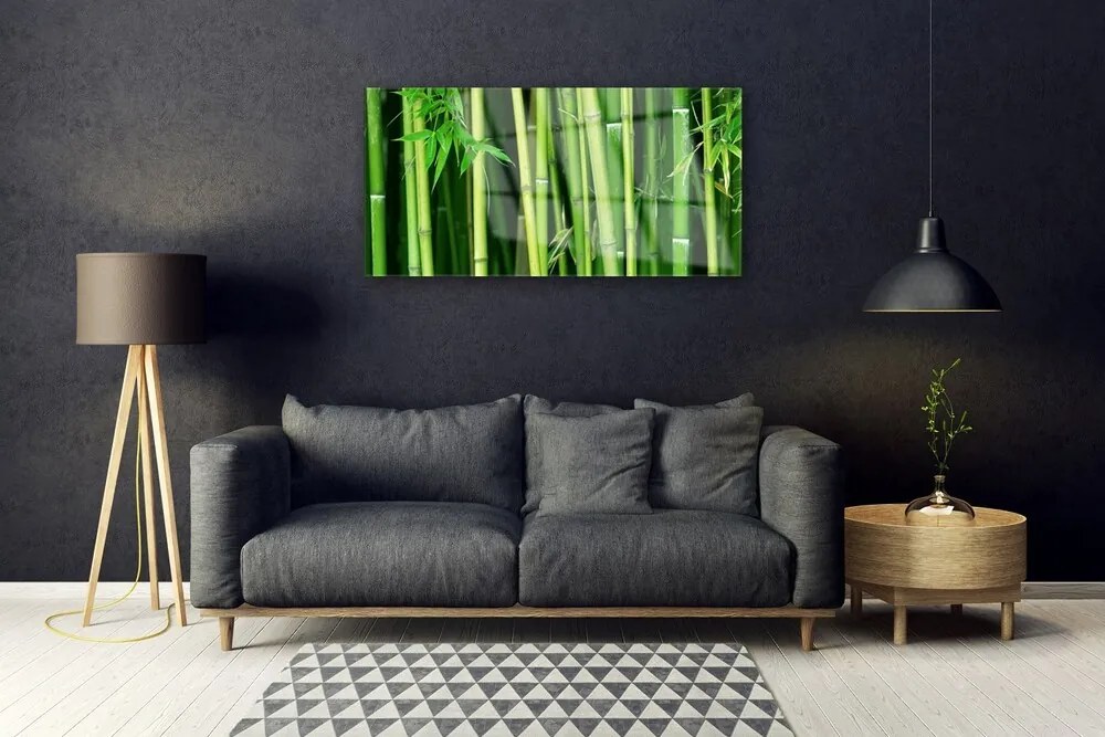 Obraz plexi Bambusový les bambus príroda 100x50 cm