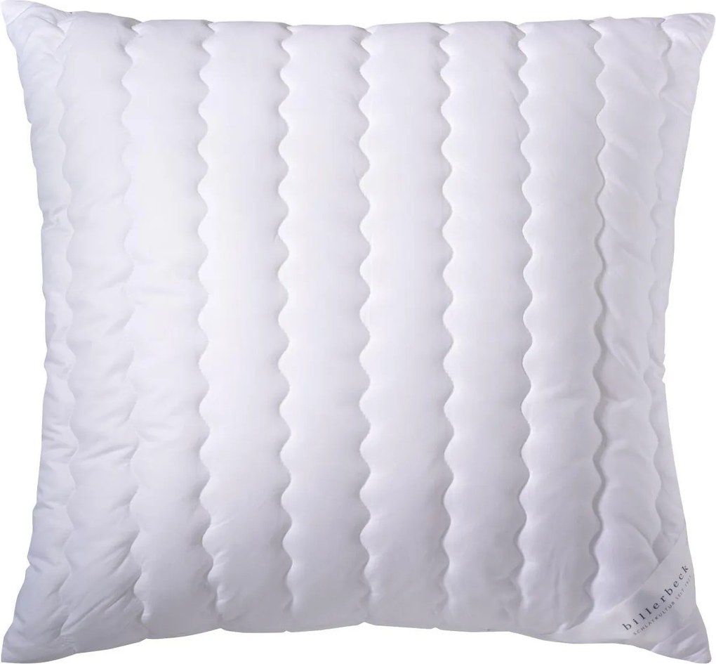 XXXLutz VANKÚŠ POD HLAVU, 80/80 cm Billerbeck - Prikrývky & vankúše - 003279011202