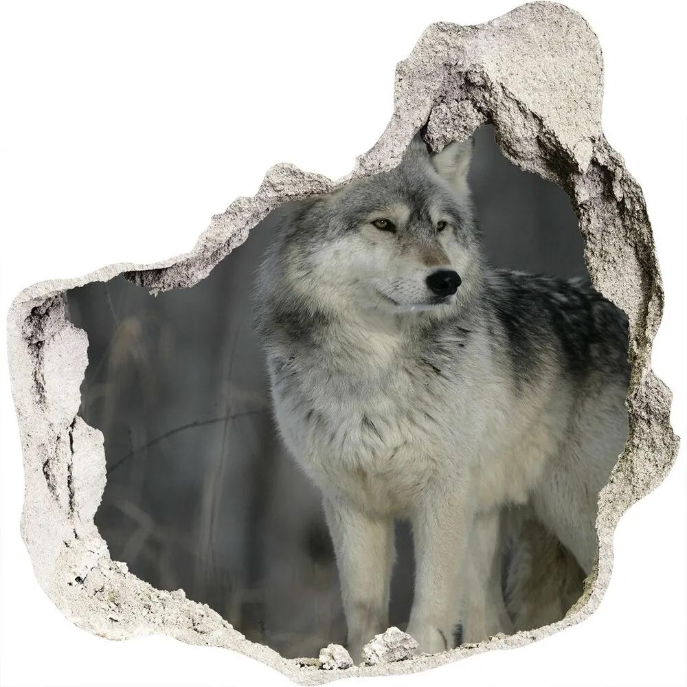 Nálepka 3D diera na stenu Šedý vlk nd-p-57875164