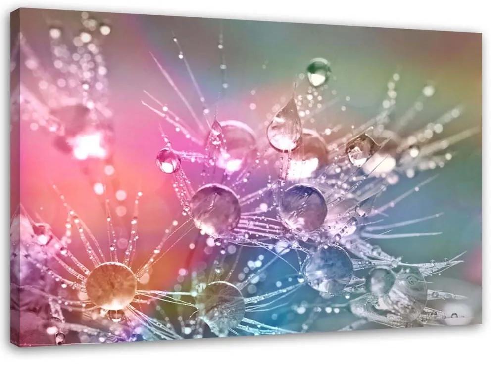 Obraz na plátně Dmychadlo Flossy Drops - 120x80 cm