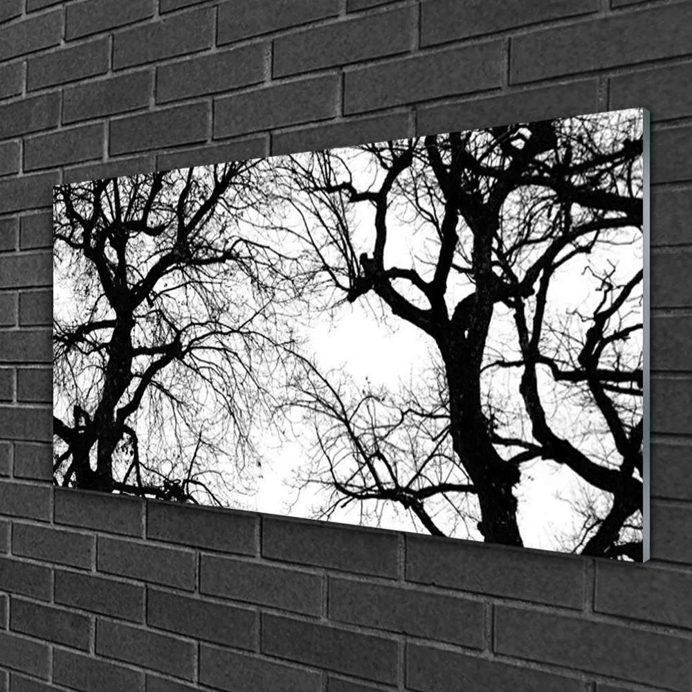 Skleneny obraz Stromy príroda čiernobiely 100x50 cm