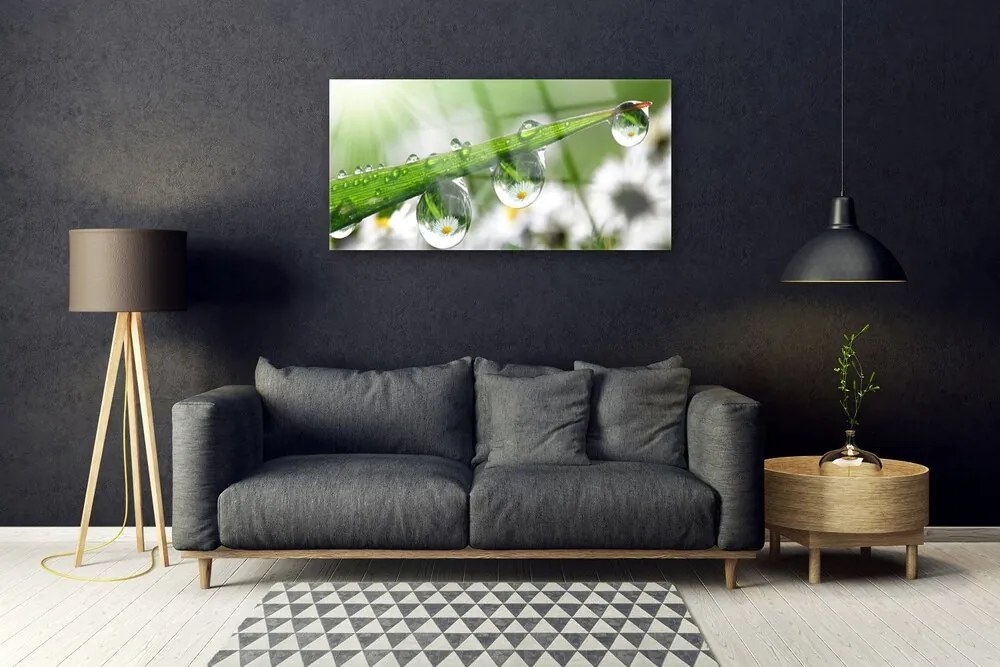 Obraz plexi Tráva rosa kvapky príroda 100x50 cm