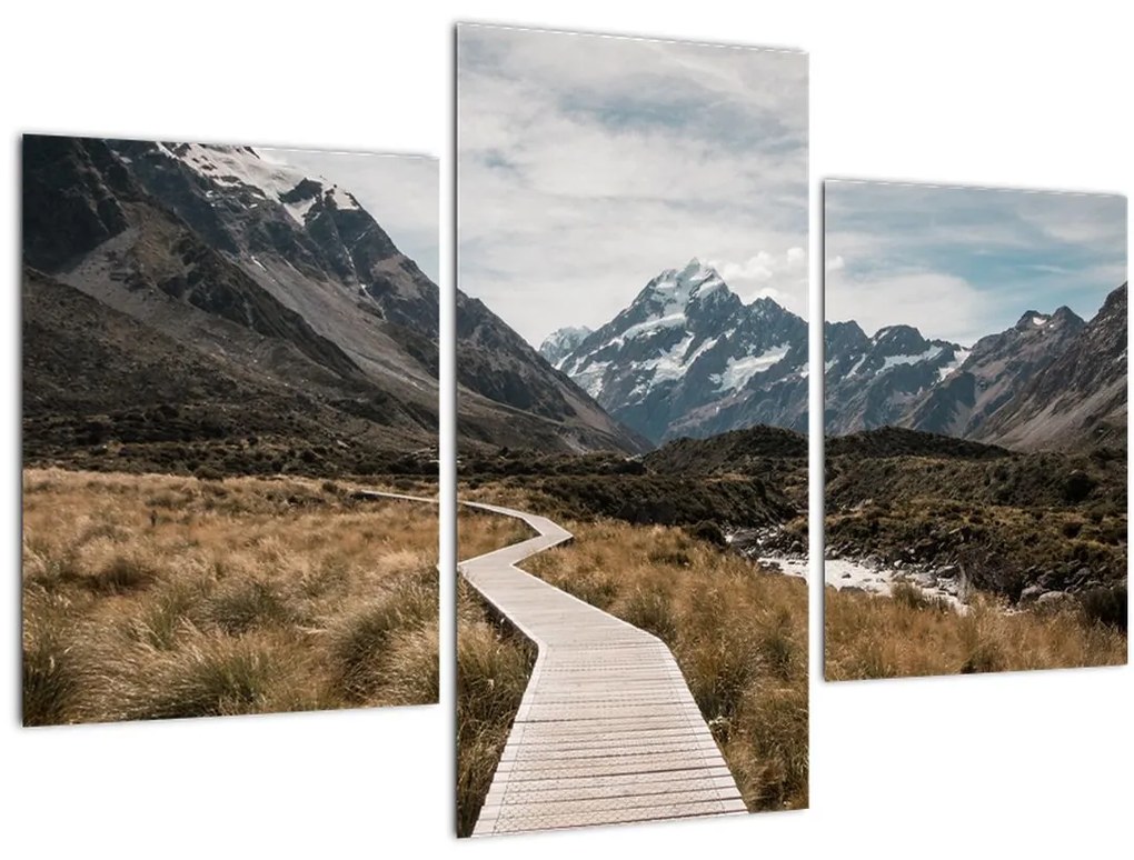 Obraz - Chodník v údolí hory Mt. Cook (90x60 cm)