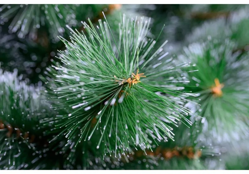 Limpol Vianočný stromček Borovica Natália 220 cm