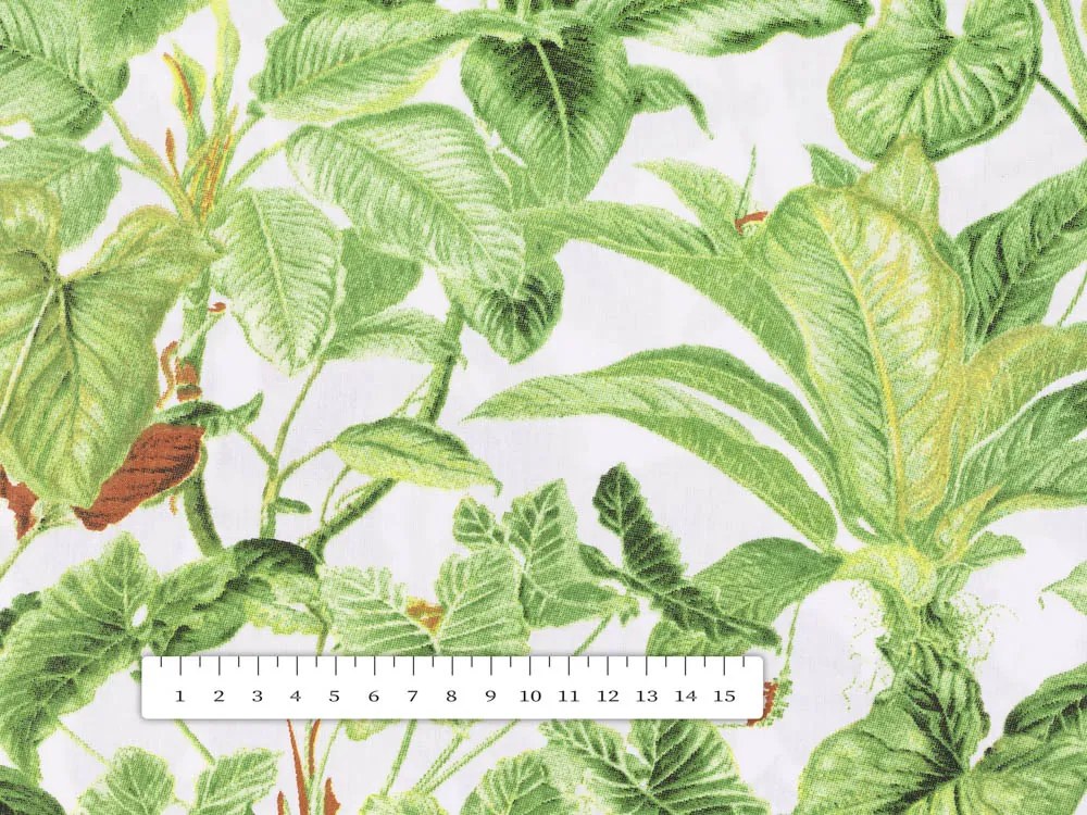 Biante Bavlnená obliečka na vankúš Sandra SA-297 Zelené izbové rastliny na bielom 50 x 50 cm
