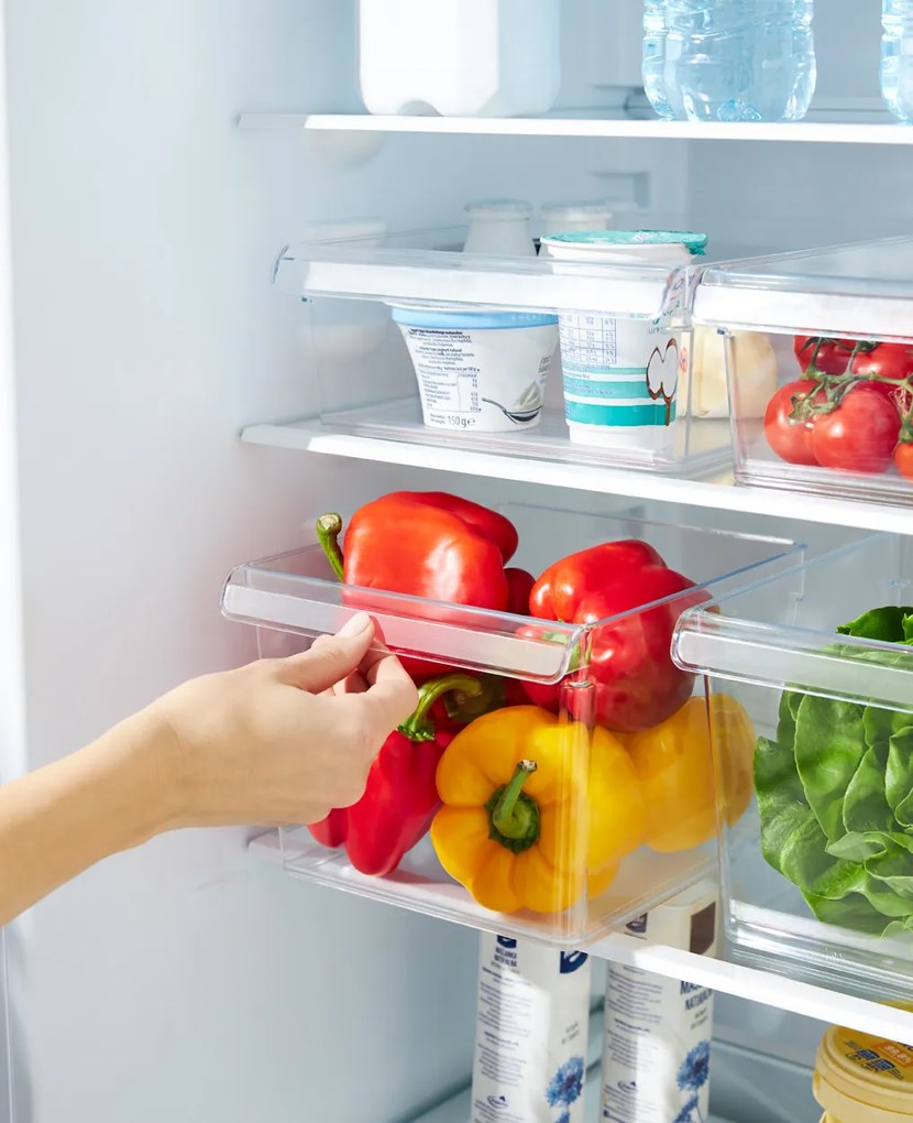 Organizér do chladničky (vstavaný) LOFT FRIDGE - 22x20x15 cm