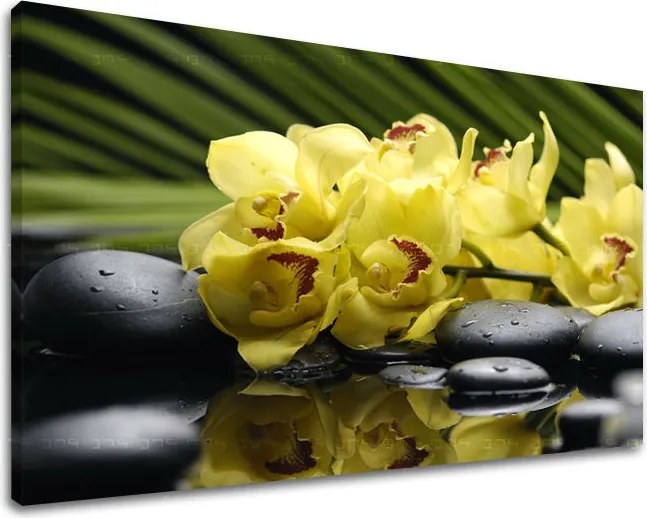 Obraz na stenu FENG SHUI