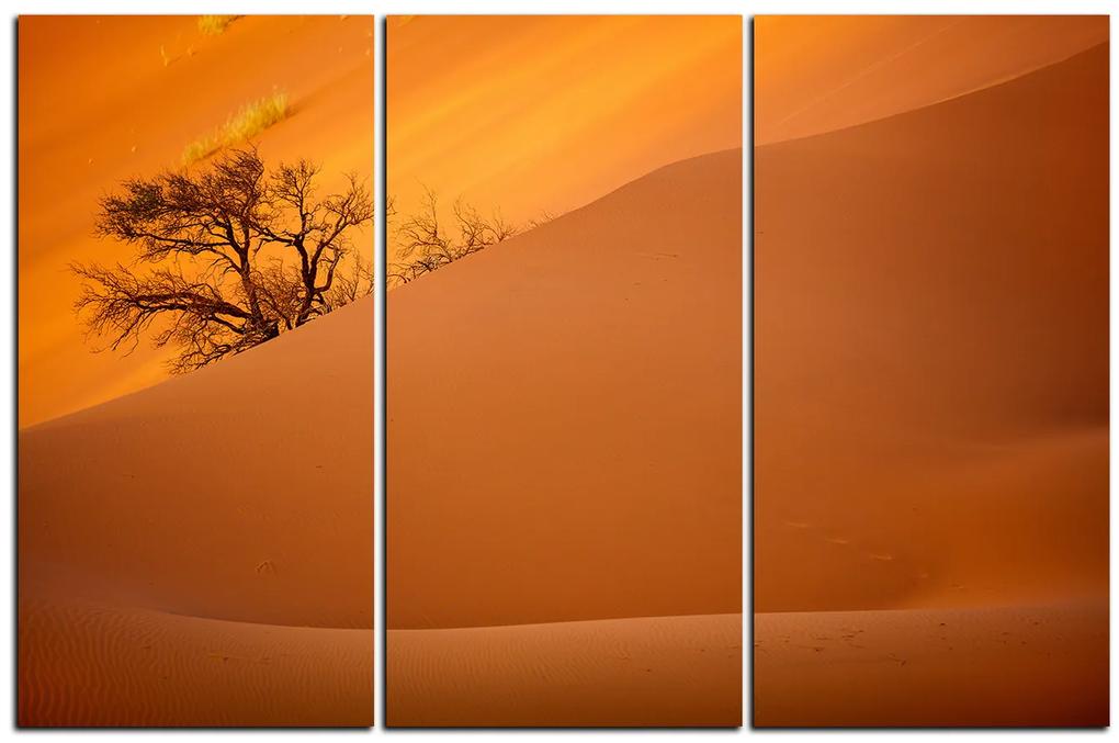 Obraz na plátne - Červené piesočné duny 1133B (105x70 cm)