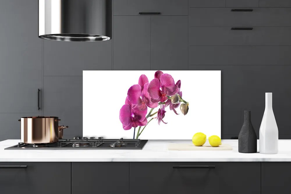 Sklenený obklad Do kuchyne Orchidea kvety príroda 125x50 cm