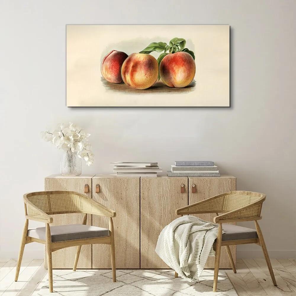 Obraz na plátne Broskyňové ovocné listy
