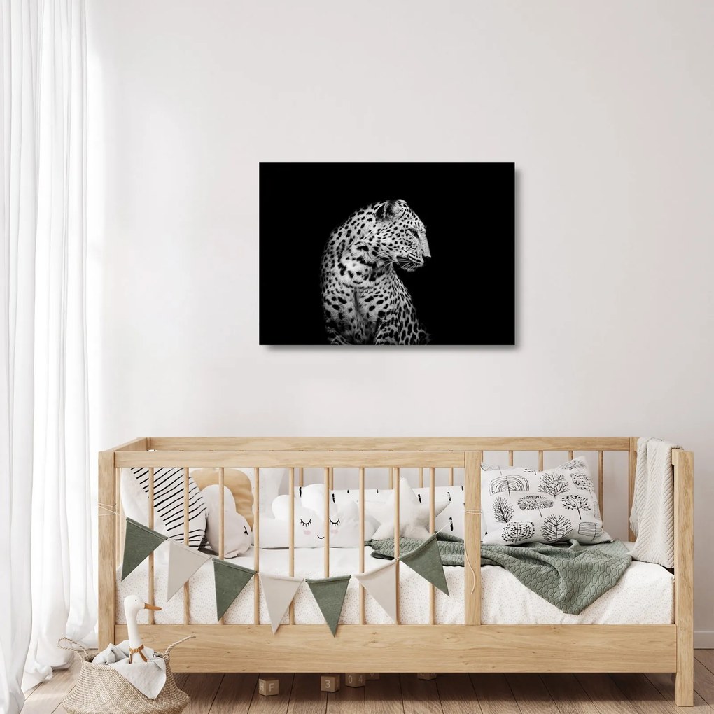 Sklenený obraz - Leopard (70x50 cm)