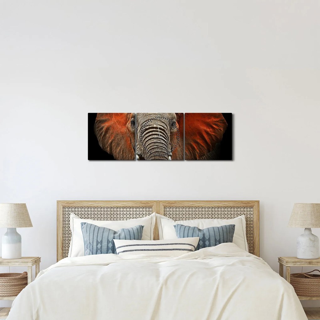 Obraz - Slony z Tsavo (s hodinami) (90x30 cm)
