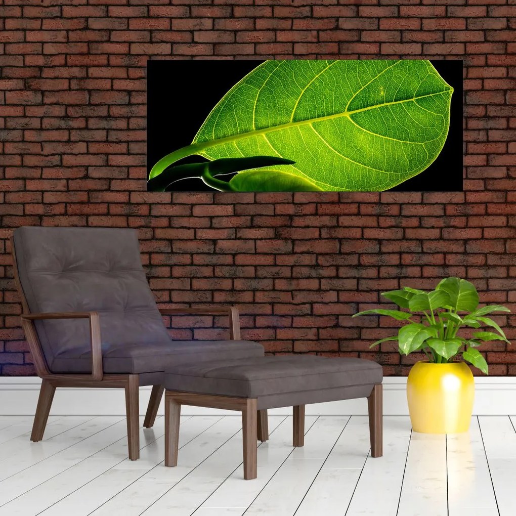 Obraz - zelený list (120x50 cm)