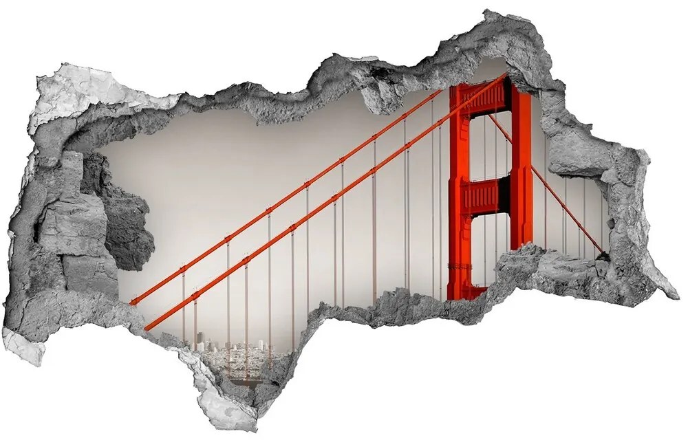 Fototapeta diera na stenu 3D Bridge v san franciscu nd-b-91736681