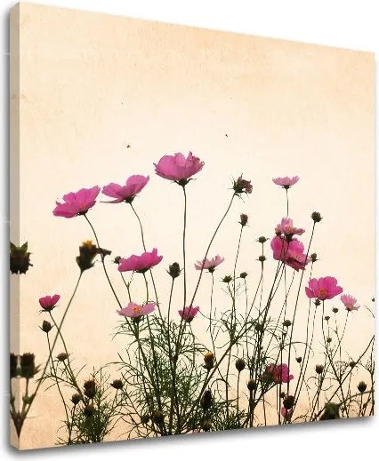 Obraz na stenu KVETY KV011E12 - 90x90 cm