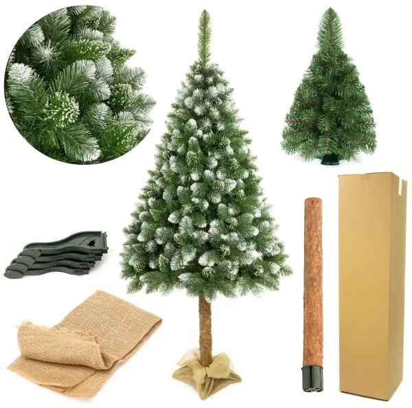 Vianočný stromček na kmeni 180 cm borovica