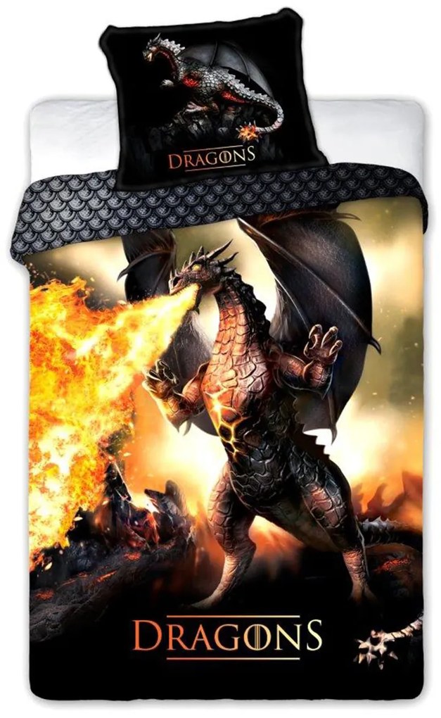 DETSKÉ POSTEĽNÉ OBLIEČKY DRAGON 160X200 CM, 1KS 70X80 CM VZOROVANÉ
