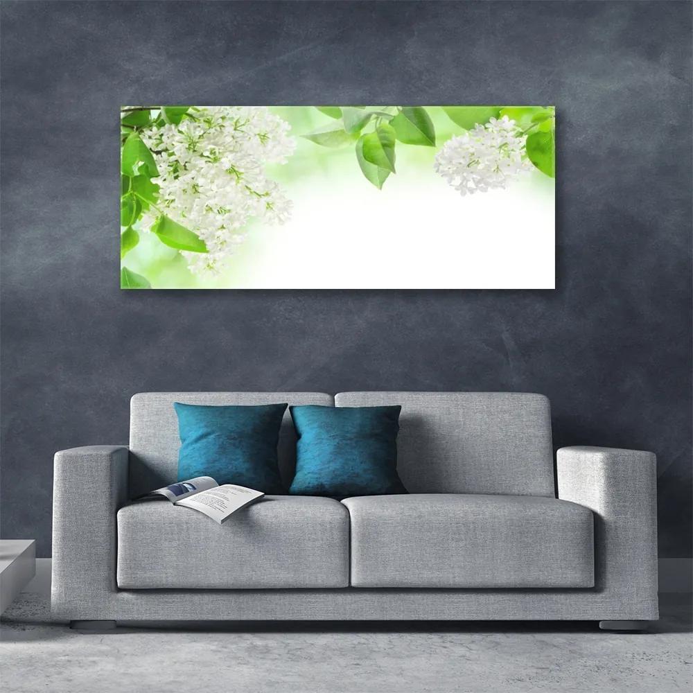 Obraz na akrylátovom skle Plátky rastlina príroda 125x50 cm