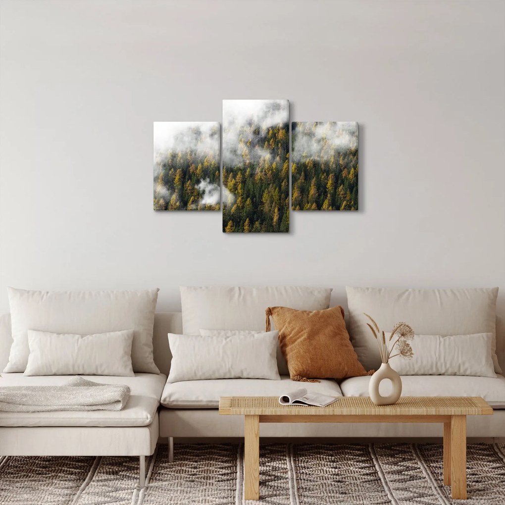 Obraz lesa v mrakoch (90x60 cm)