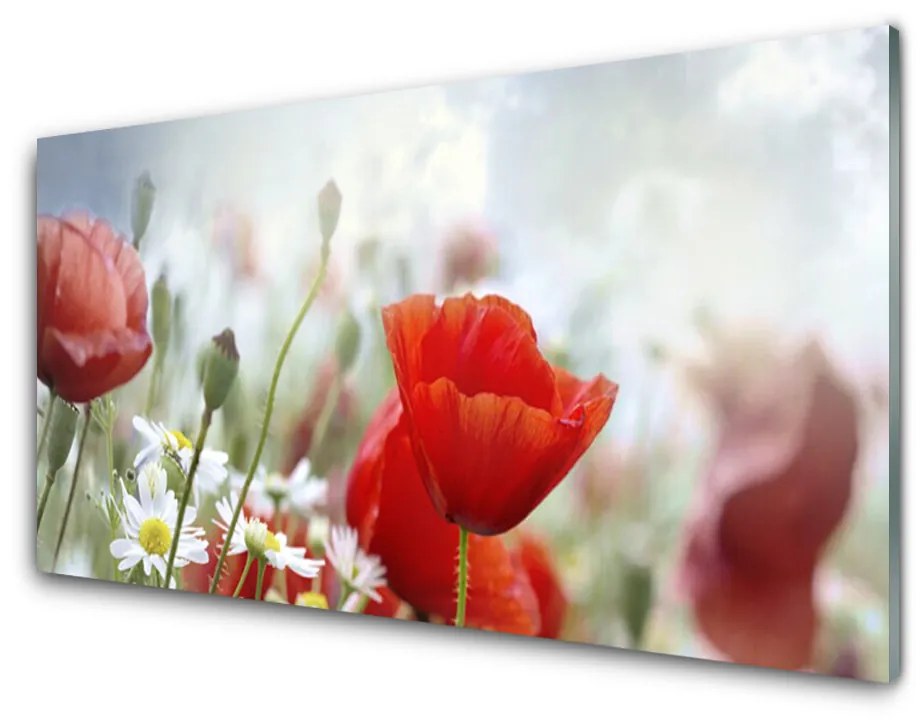 Obraz plexi Kvety plátky rastlina 100x50 cm
