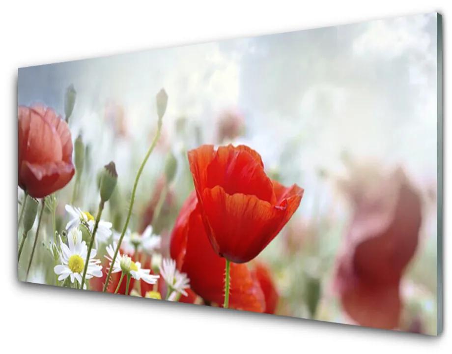 Obraz plexi Kvety plátky rastlina 100x50cm