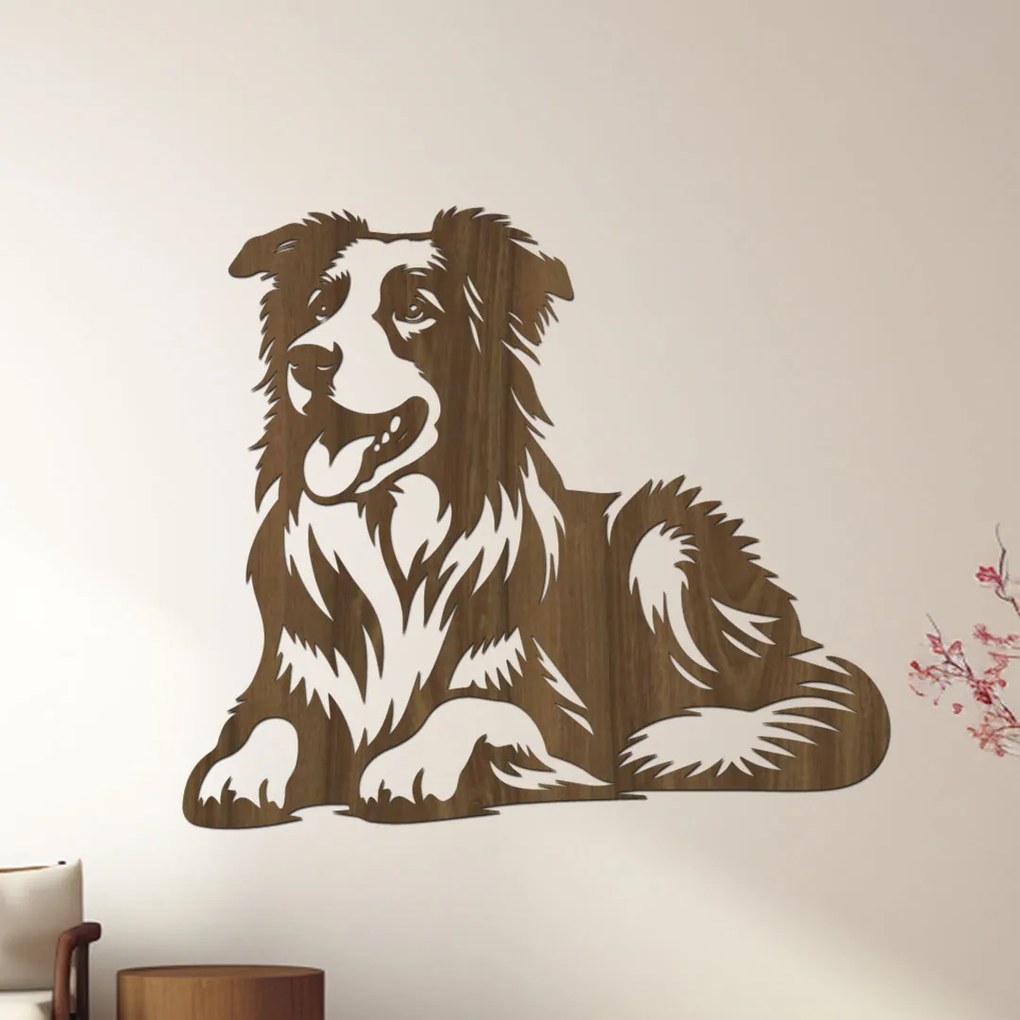 dřevo života Drevený obraz psa BORDER COLLIE Rozmery - cm: 60x51, Zvoľte farbu dekoru: Čierna