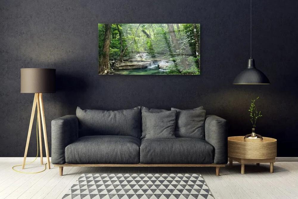 Obraz plexi Lesné les príroda 100x50 cm
