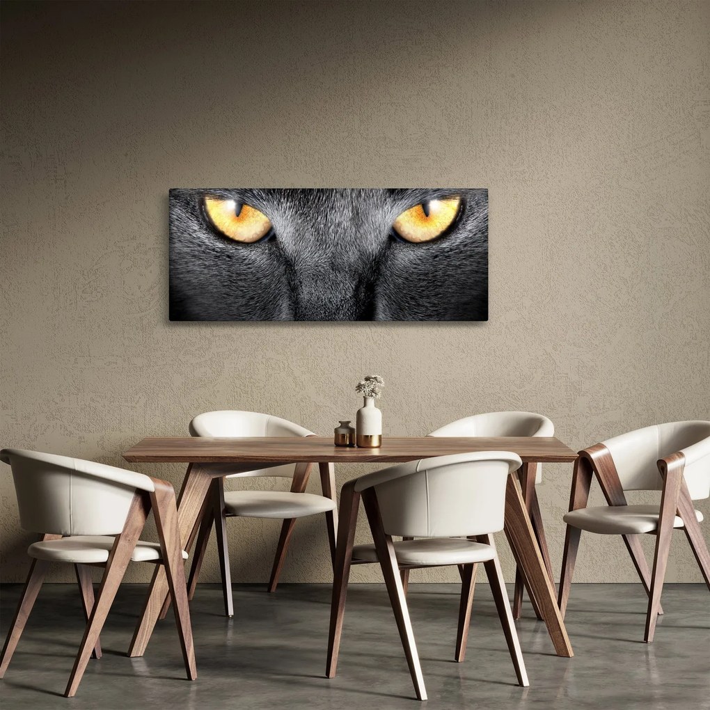 Obraz - Blízky portrét mačky (120x50 cm)