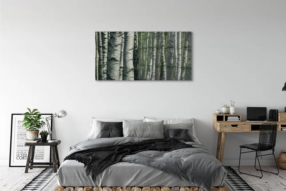 Obraz plexi Brezového lesa 125x50 cm