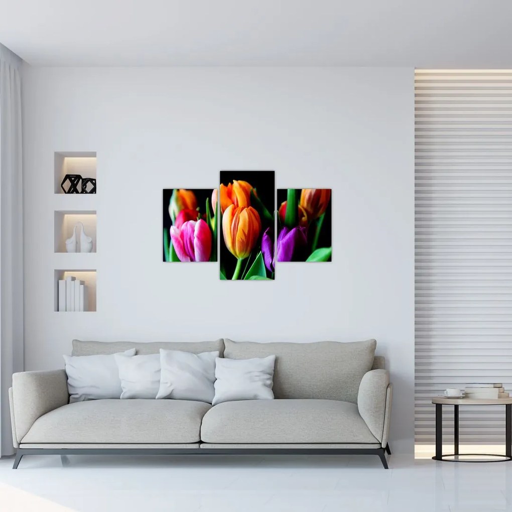 Obraz tulipánov na čiernom pozadí (90x60 cm)