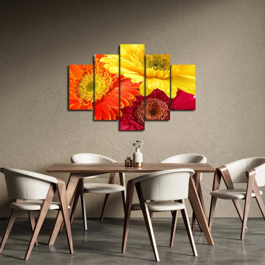 Obraz - Kvety Gerbery (150x105 cm)